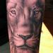 Tattoos - Black and Grey Lion Tattoo - 64917